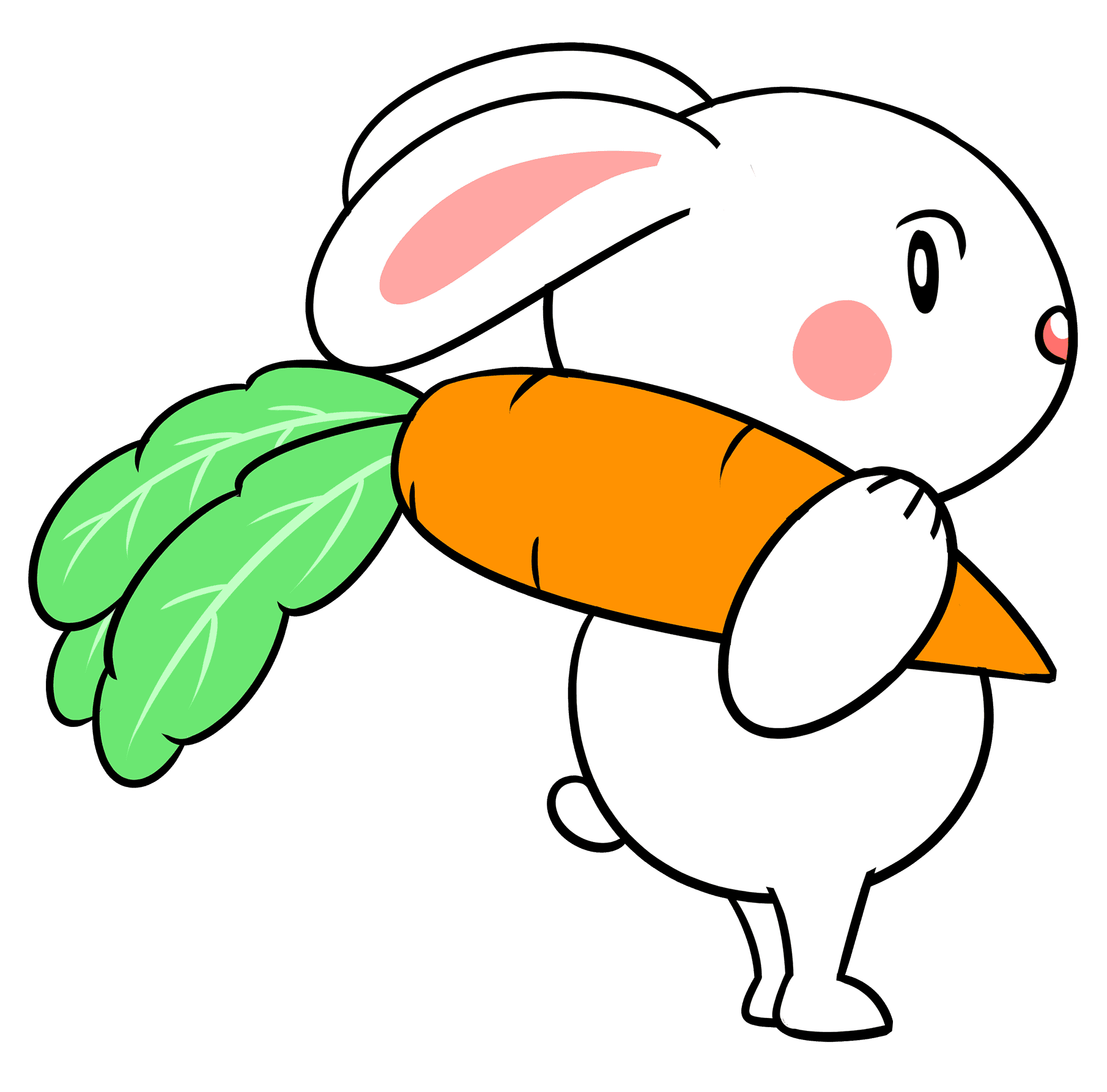 rabbit carrot